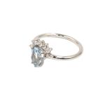 Lágrima del Océano